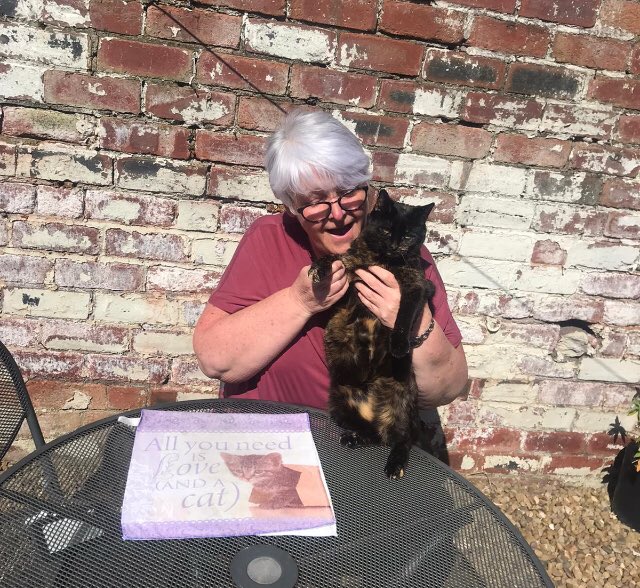 Newlands_PS's tweet photo. Mrs Pell and her cat and Mrs Parsons and Mrs Hutton are also thanking our #Keyworkers with their special sign! #NPSChallenge #NPSThankYouKeyWorkers https://t.co/P2541WJdNq