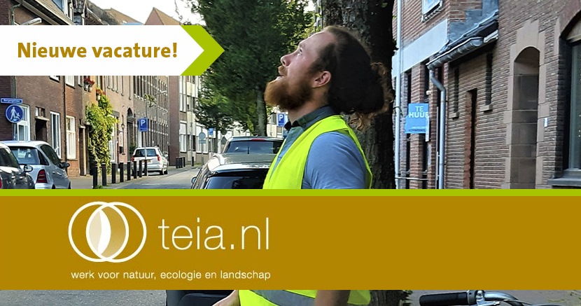 Op zoek naar een (nieuwe) uitdaging in de ecologie, natuur of landschapssector? Kijk dan eens op teia.nl voor het actuele overzicht aan vacatures!