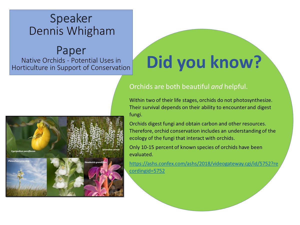 ASHS_Hort's tweet photo. #Didyouknow?

#Orchids are both beautiful and helpful.

Watch the presentation by Dennis Whigham from #ASHS2018 
https://t.co/VlPOQSHeJ8

Learn about native orchid conservation efforts at https://t.co/yR7Qr7ofE6
 @SmithsonianEnv https://t.co/WRwoUtDcld