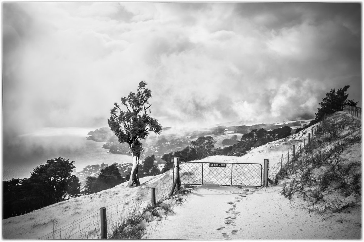 I do like the Black and White format too #BitsOfNewZealandCastle Hill, CanterburyCompany Bay, DunedinThat Peninsula Tree, DunedinBuchannan Peaks, Wanaka