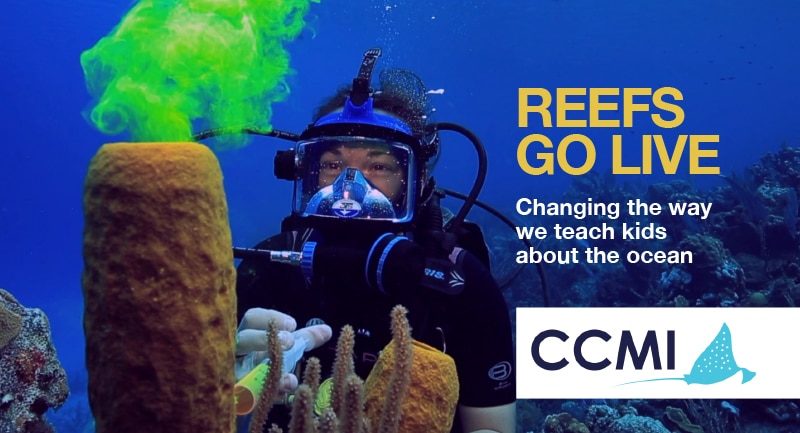 ScubaverseMedia's tweet photo. New series: REEFS GO LIVE with The Central Caribbean Marine Institute – CCMI – Part 1 (Watch Video)
@reefresearch #coral #conservation #CaymanIslands #education #ReefsGoLive #CCMI
https://t.co/7i8gggQbDq https://t.co/7JkxuHkVnv