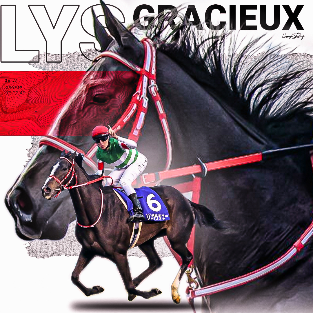 JRA　ヒーロー列伝　リスグラシュー Amazon.co.jp: JRAヒーロー列伝 リスグラシュー : ホーム＆キッチン