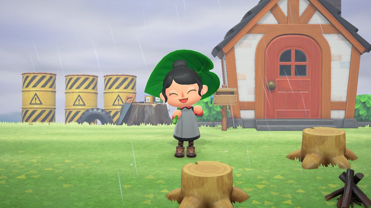 ScourgeRaven's tweet photo. #AnimalCrossing #ACNH #NintendoSwitch https://t.co/6fdie5WB99