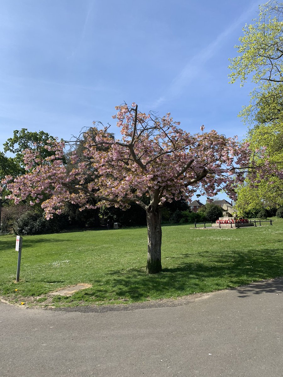 MOKU Communications tweet media