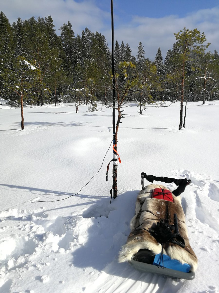 la1ark's tweet photo. LA1K's CQ WPX SSB participation was a bit stunted this year. Luckily, members LB4FI and LB1HH managed to do a small-scale home setup. https://t.co/nMpebfCA9j https://t.co/Y5R3BknNOC