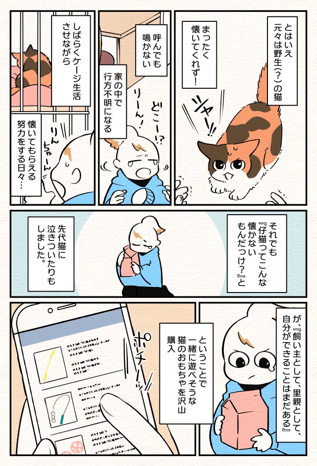 ねこ部屋暮らし3回目が公開されました～?☺️
今回はりんちゃんとの思い出話です。春は特に仔猫をお迎えする人が多いかと思うので参考になればと思っています?
あと仔猫を迎えたら1万枚くらい高画質で写真撮った方がいいです。あっという間に大きくなります??
https://t.co/hFkxh03IrN 