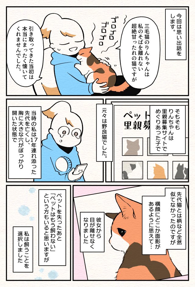 ねこ部屋暮らし3回目が公開されました～?☺️
今回はりんちゃんとの思い出話です。春は特に仔猫をお迎えする人が多いかと思うので参考になればと思っています?
あと仔猫を迎えたら1万枚くらい高画質で写真撮った方がいいです。あっという間に大きくなります??
https://t.co/hFkxh03IrN 