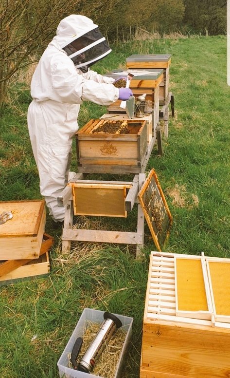 the3million's tweet photo. "I'm a French supermarket worker and also a beekeeper.

Every day I go out to keep the supermarket shelves stacked and to keep honey on your table.

During these difficult times I am #RightThereWithYou"

Christophe

#Covid19UK
#Farming https://t.co/NW6eaZLW07
