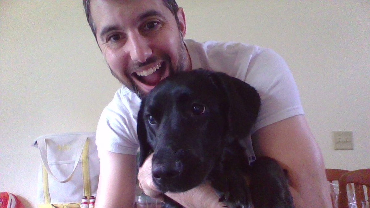 Working from home has been tough, but thankfully my #jacketfamily includes our big puppy Rey, who has been an adorable work-from-home friend through this trying time. <a href="/bevycgibson/">Beverly Coe Gibson</a> <a href="/LeesburgSga/">Leesburg High SGA</a> @LeesburgJackets