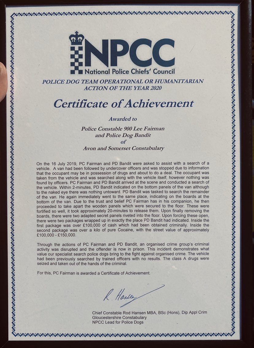 ASPoliceDogs's tweet image. Another award for @ASPolice PD Bandit. Congratulations to Bandit &amp;amp; PC Lee Fairman for being awarded the @PoliceChiefs certificate of achievement for dog team operational/humanitarian action of the year for a fantastic job in July 2019. Not bad for an @RSPCA_official rescue dog.