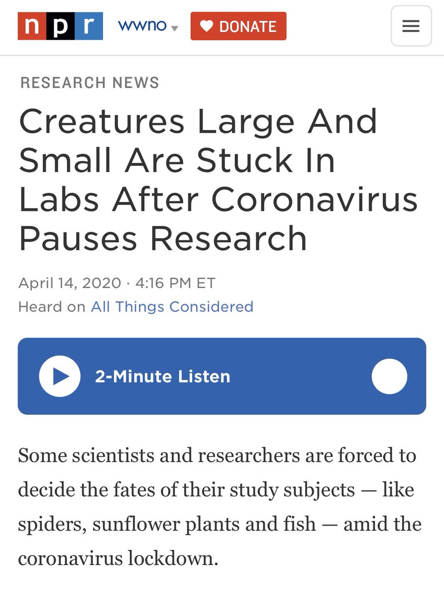 NPGar? These Spotted Gars got a shout-out in a more positive piece  @NPR’s  @npratc!  https://www.npr.org/2020/04/14/834460160/creatures-large-and-small-are-stuck-in-labs-after-coronavirus-pauses-research #GarSpotting  #GarLab