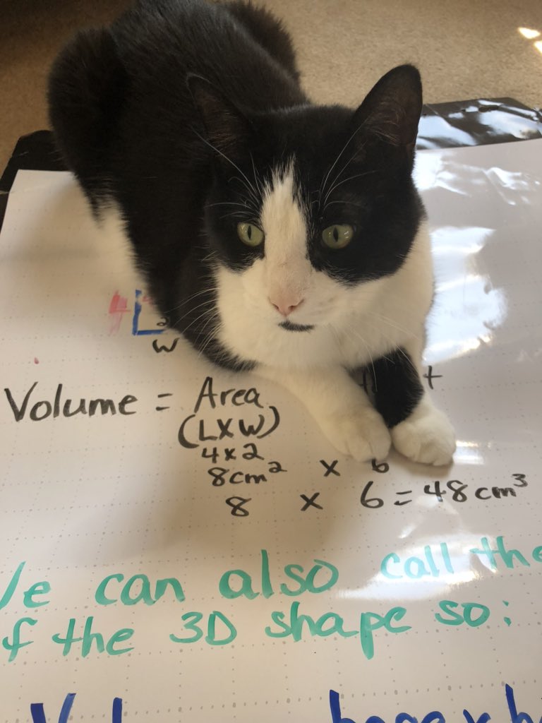 Remote teaching difficulties <a href="/McNab_PS/">McNab PS</a>  @RCDSB - having your own personal dry erase marker when and where you don’t want one!!