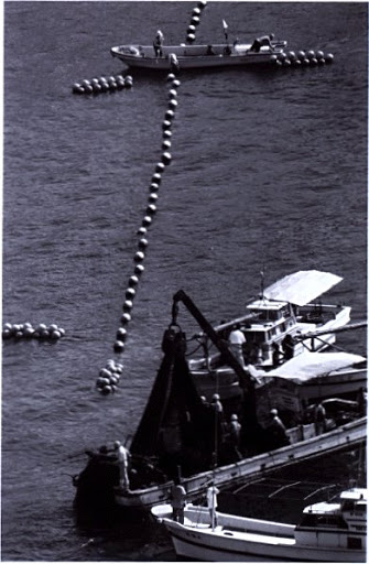 eco_pills's tweet photo. Baia di #Minamata: la Chisso Corporation, un'industria chimica della zona, versó le acque reflue contaminate da #metilmercurio nel mare di Shiranui dal 1932 al 1968, provocando la malattia di Minamata, una sindrome neurologica che mieté vittime per trent'anni.
@B_iat_unina20 https://t.co/tILEas5H8d