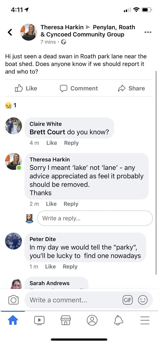danny_harkin's tweet photo. @cardiffcouncil sadly there is a very large dead swan in Roath park lake by the boat shed. Unsure who to contact as it should probably be removed? Thanks. https://t.co/b1h4PERSY5