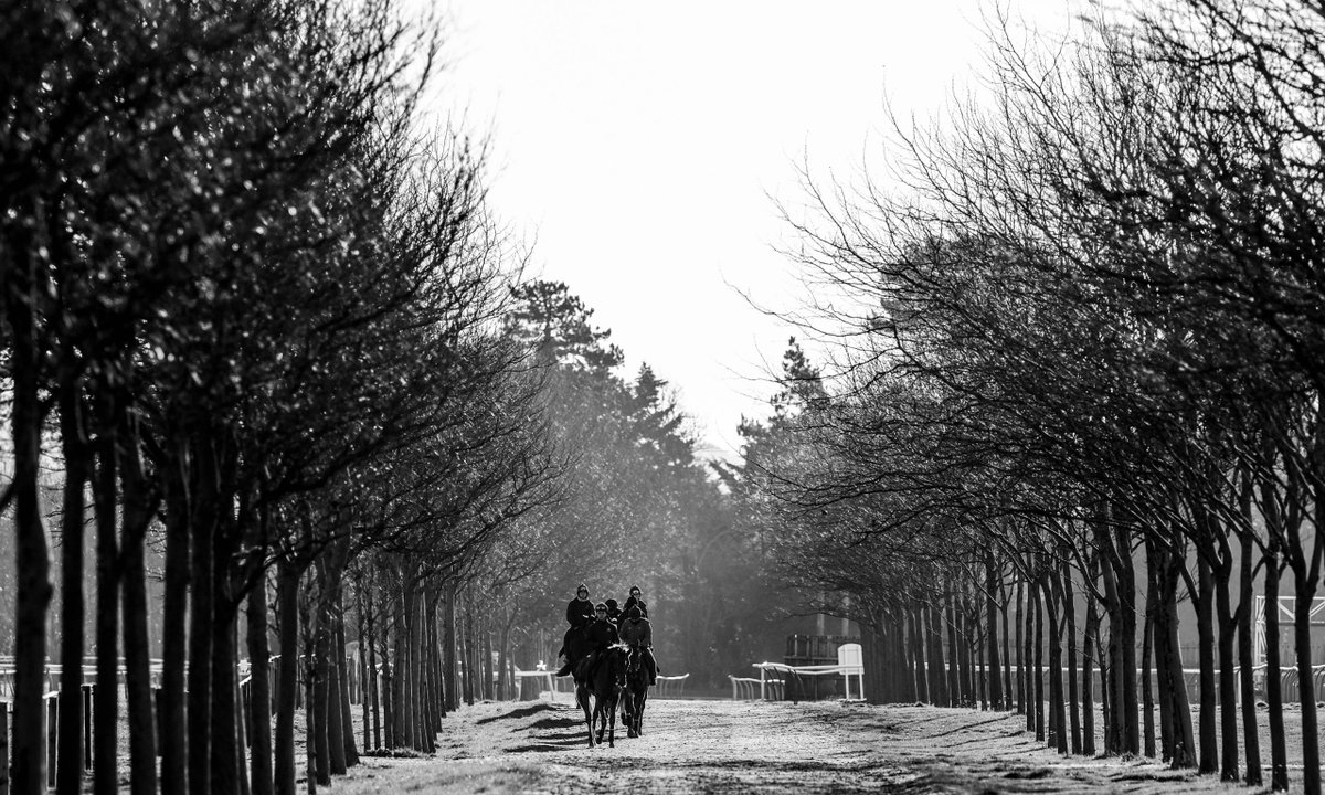 BHA extends suspension of racing➡️britishhorseracing.com/press_releases…