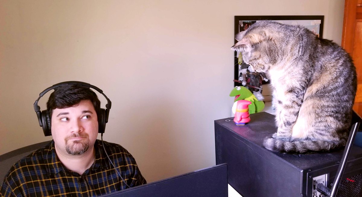therealzubes's tweet photo. She's just making sure Back Issues comes out on time...#catmanager https://t.co/DHodYwmsGt