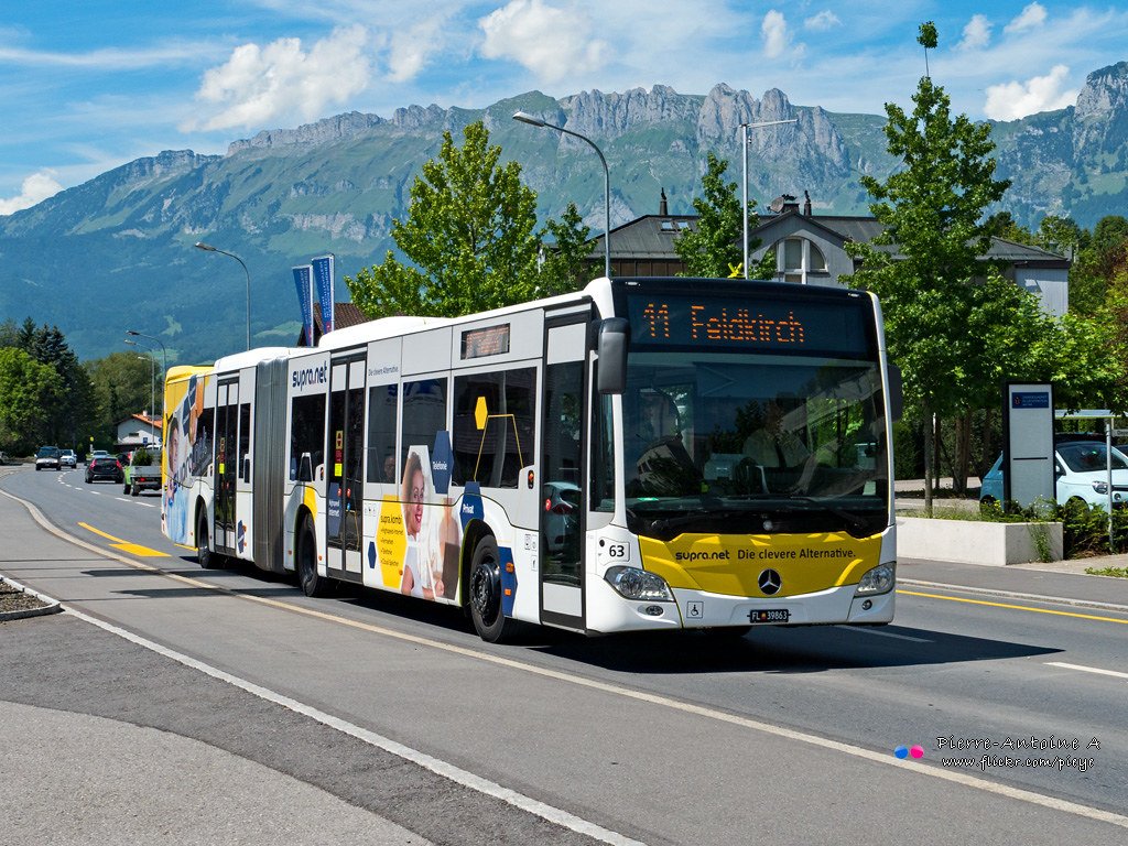 Il y à eu aussi le 13m O405NÜL (qui n'est pas aussi nul que çaoui avant L c'était 13m et pas 15m chez Mercedes)Le Citaro GÜ, qui est désormais le seul articulé homologable car/class II chez Evobus (et le 40000ème Citaro en est un)53 - Daimler; 54&55 -  @Pi_Eye_; 56 - Flickr