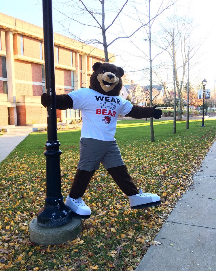 Bristaco tweet media