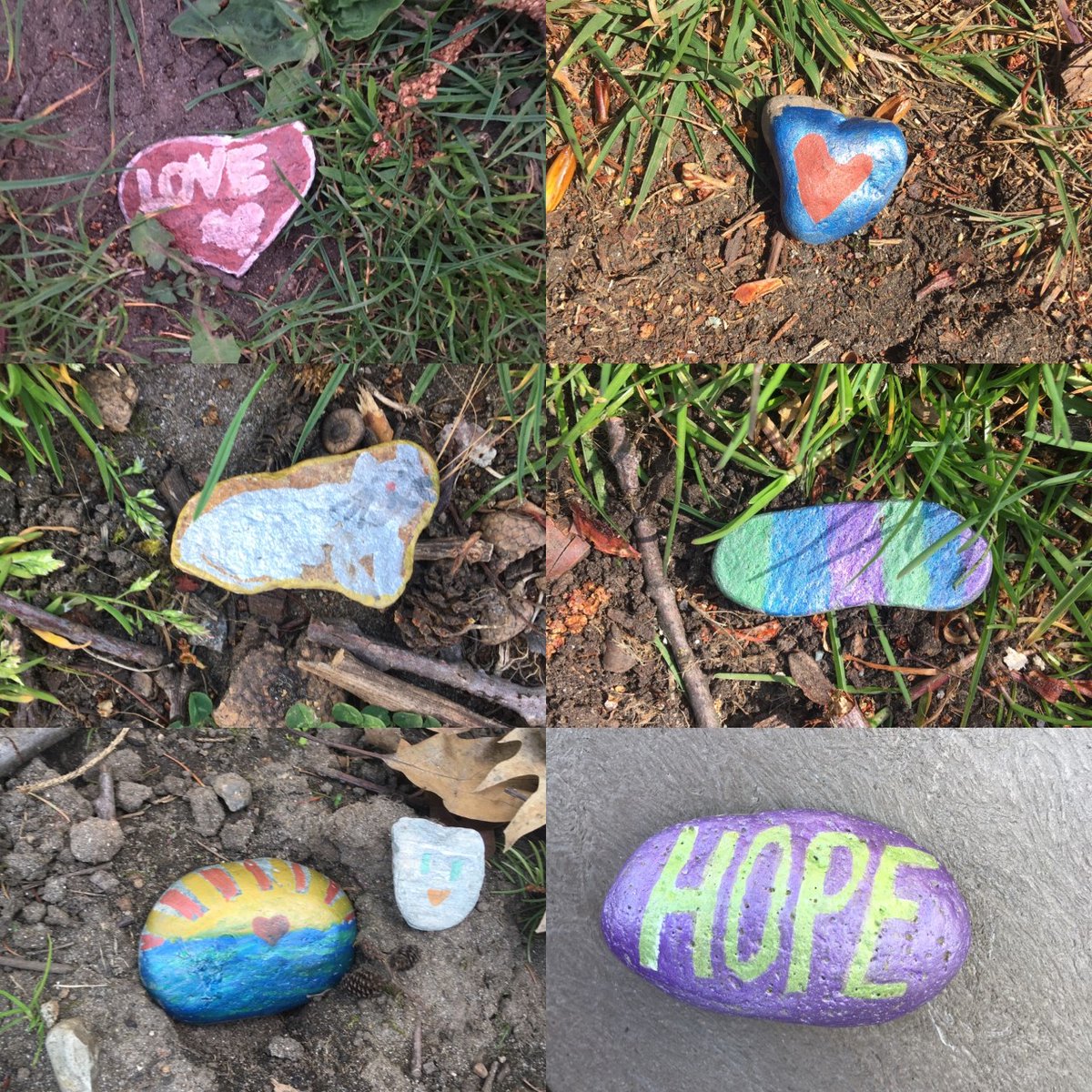 Spot any of these #kindnessrocks around Maccaud Park in #whiterockbc? Avery hopes they bring you some #joy and #happiness!
