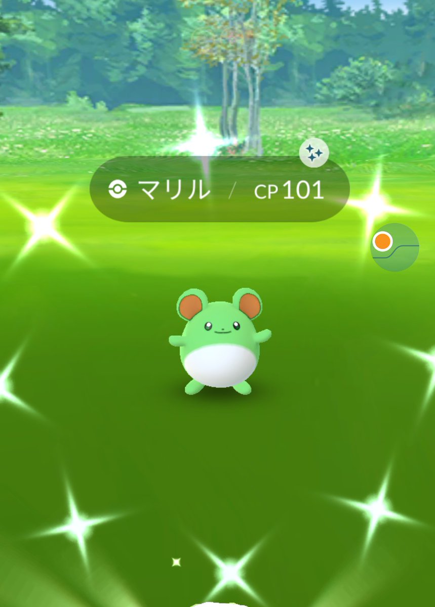 昨日寝る前のマリル 今日は色違い出ませんでしたね 一足早く通常運転に戻ってしまったかも 残念 でも久しぶりにヒトモシ見つけた ポケモンgo ツイレポ