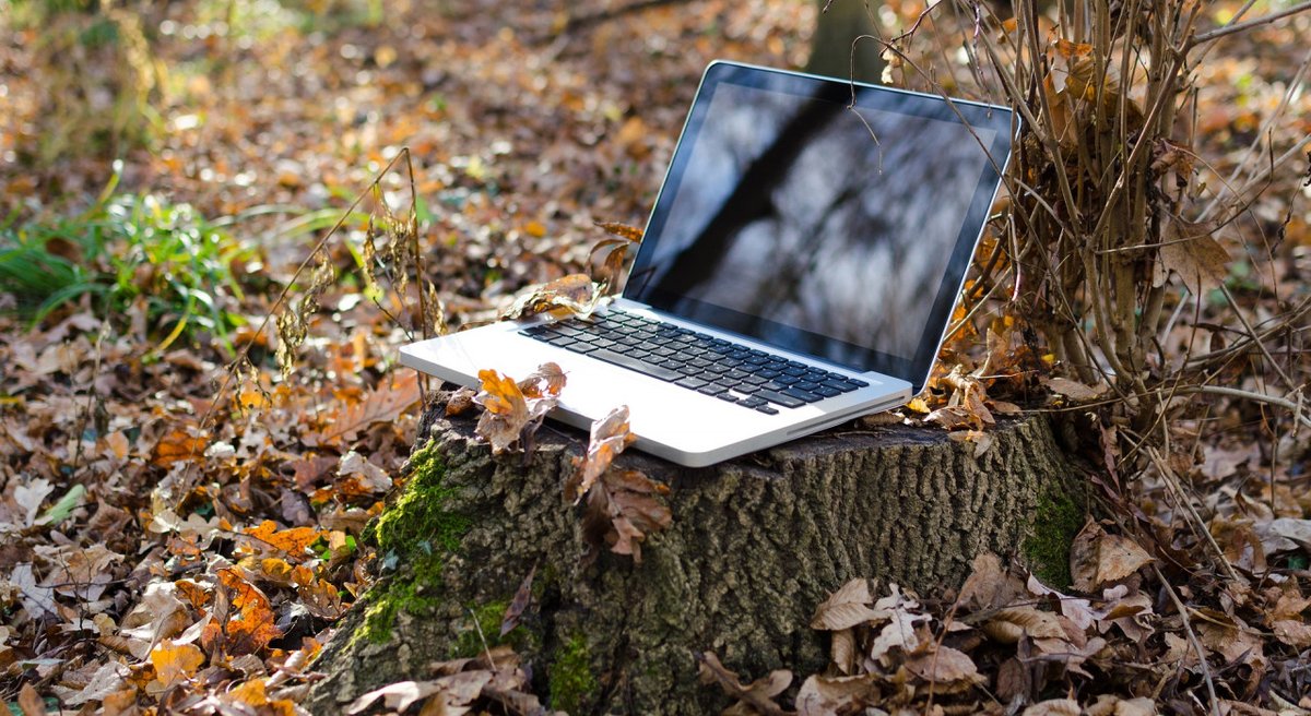 Mis je het Nationaal Park? Mis je de natuur nu we zoveel mogelijk thuis werken? Dan is het webinar "natuurlijk thuiswerken' iets voor jou! 
ivn.nl/groen-om-te-do…