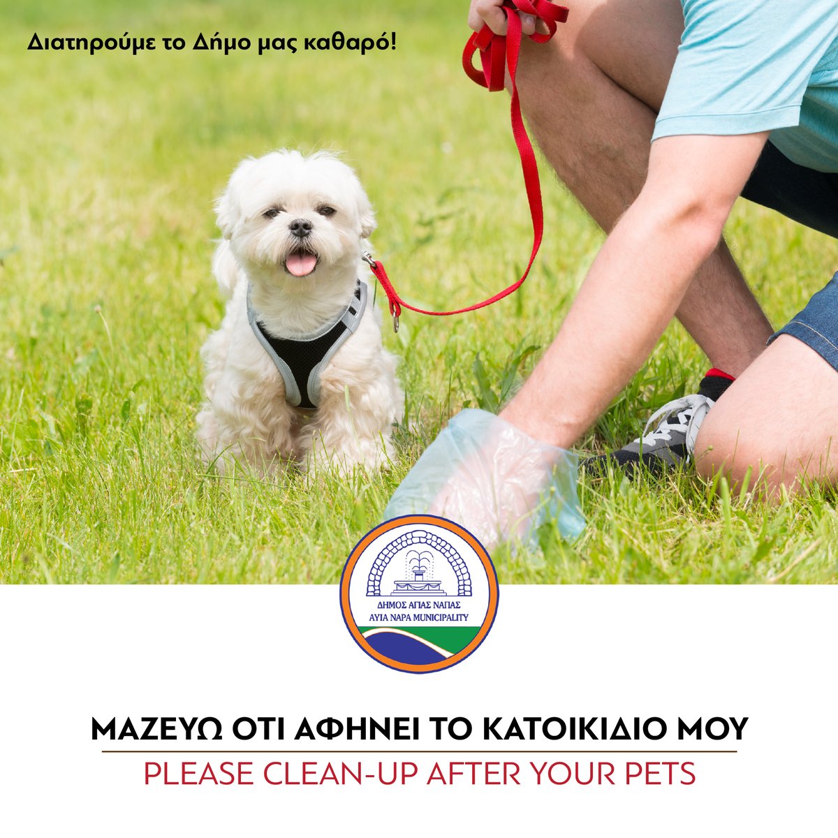 With mutual respect and responsibility, we need to collect what our pet leaves behind. We love animals, we respect our health, the environment and our fellow human beings!!!

Be Responsible!!!
Clean it up!!!