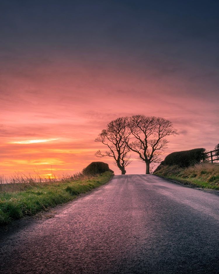 VisitScotland's tweet photo. Picture perfect scenes brought to you from the Kissing Trees in #Kinghorn🌳💕 #StayHome 📍 Fife 📷 IG/@welcometofife https://t.co/owm0WoYfE3