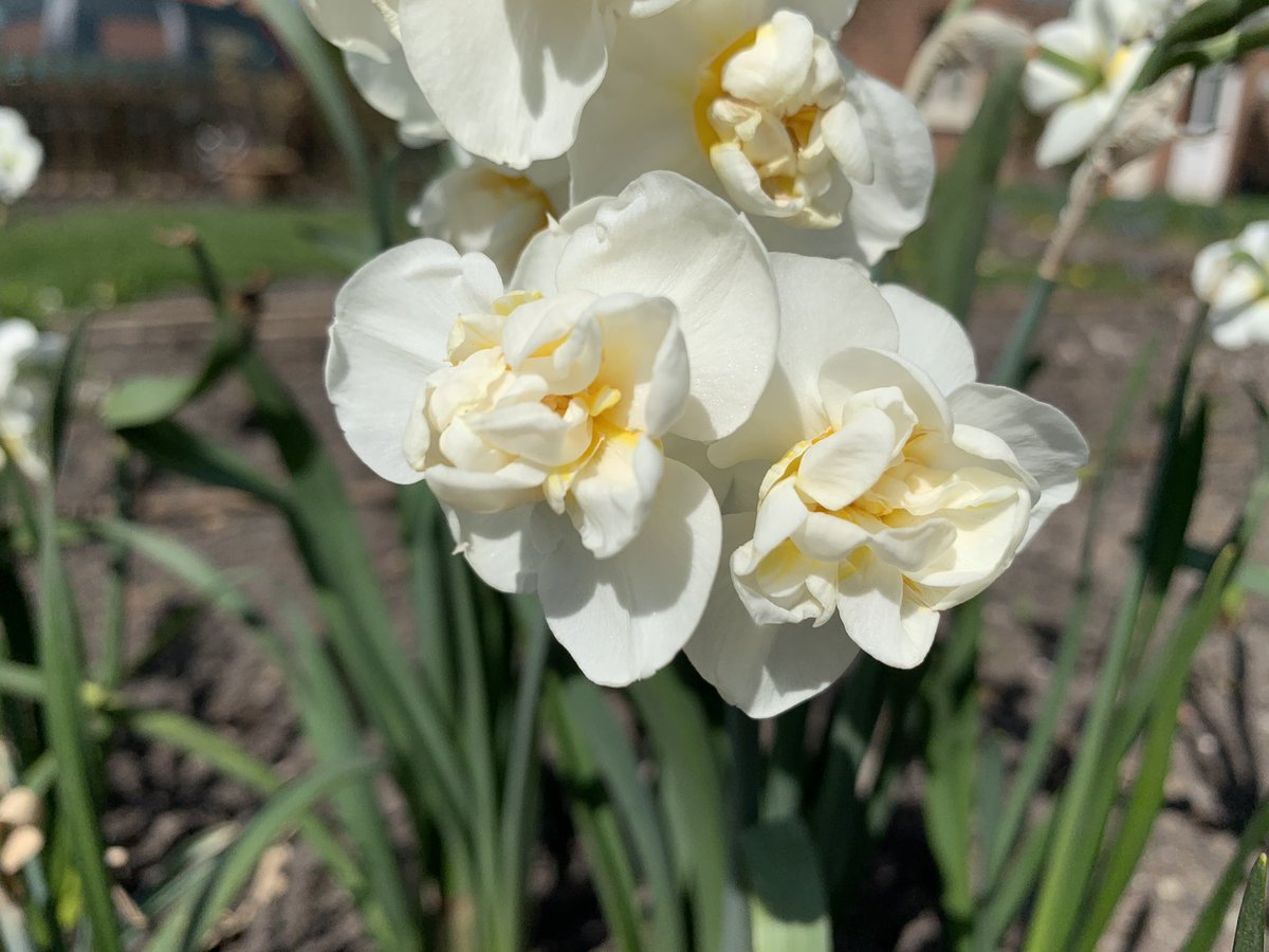 Heather Whitaker tweet media