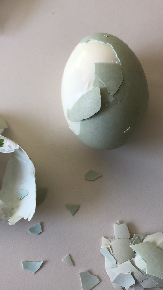 Waarom krijgt een kippeei zo’n groene schaal?