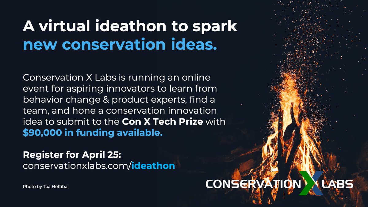 COACTlab's tweet photo. *CO-ACTION on Species Decline 🐸🦅🦊

Join us Sat 25th for a remote @conservationx brainstorm on solutions to species decline! We're looking for 8 more to join our team, interested??

-Teams of 10 get $100 (lunch delivery?)
-Good ideas get $3.5k
-Best ideas could win $20k! https://t.co/O4hdbC5LZz