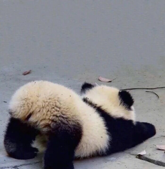 lucymn666's tweet photo. Cute baby https://t.co/ustqt0kXuf