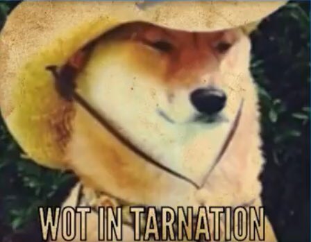 CourseSweet's tweet image. Where is all the FLOUR?!??????!!!!