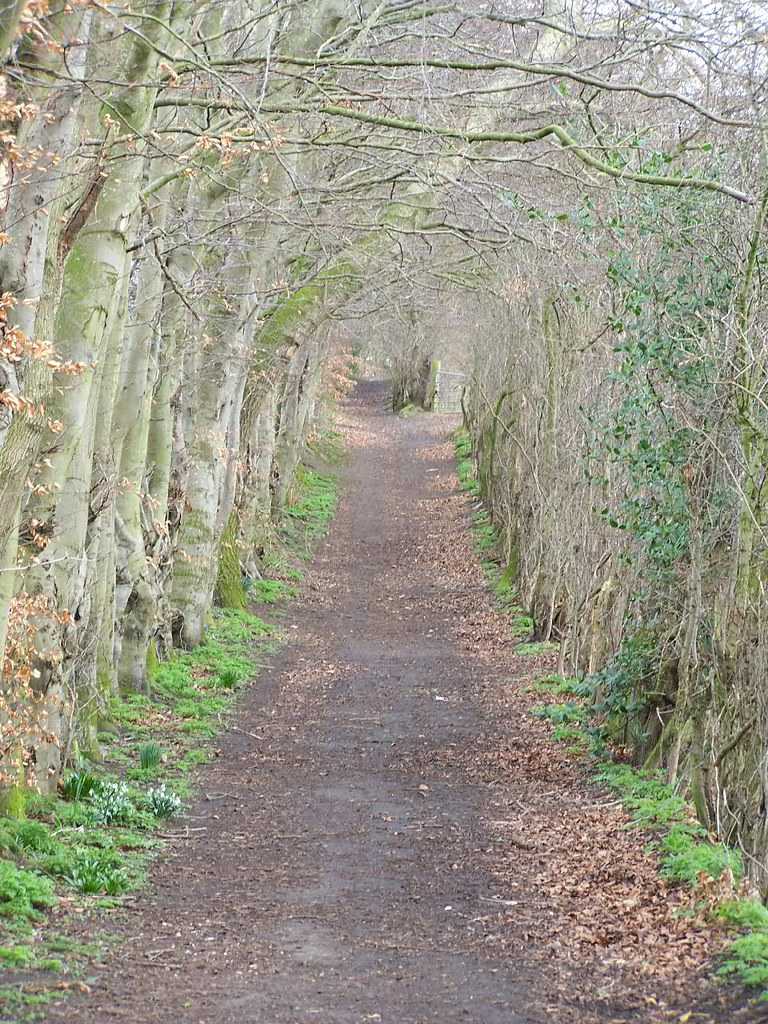 perlineamvalli's tweet photo. #WallMile 65 includes the massive #hadrianswall cavalry fort of Stanwix, home to *ala Petriana*, the only double-strength cavalry unit in Britain. Listen to the sound of #MC65 https://t.co/KXby9AcroY https://t.co/5vMUPUKLpr