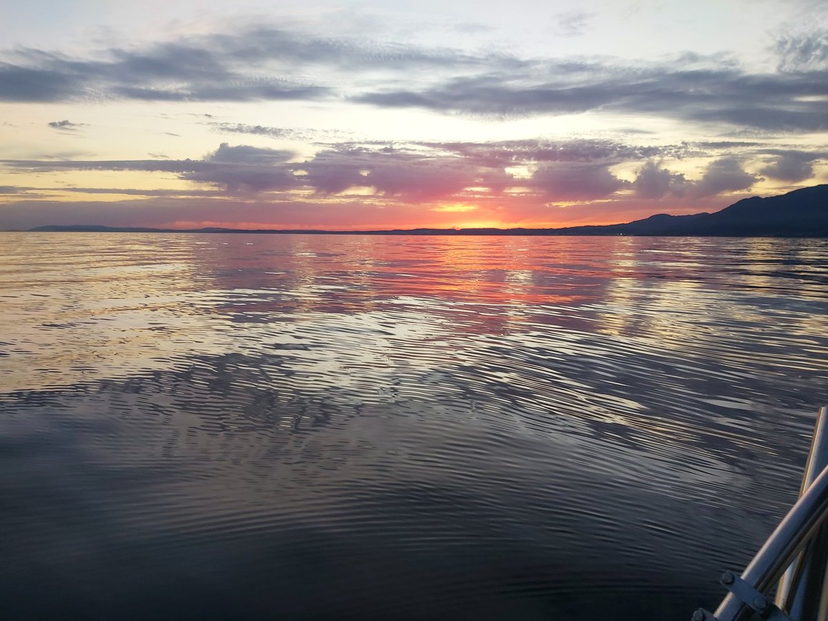 Marbella Boat Charter tweet media