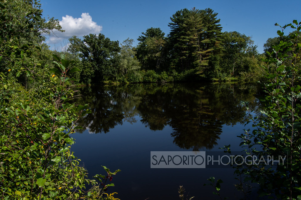 MichaelSaporit2's tweet image. Oceans, Waterfalls and Water#ipswichriver #topsfieldhttps://zcu.io/tByP