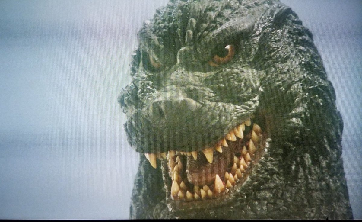 プッチ على تويتر そして ゴジラvsキングギドラ のアップ用のギドゴジが 本当にいい表情 いい演技をしている ﾉ Vsギドラ祭 怪獣がみんなを元気にする