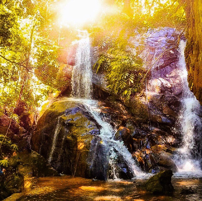 bibi🦄 tweet media