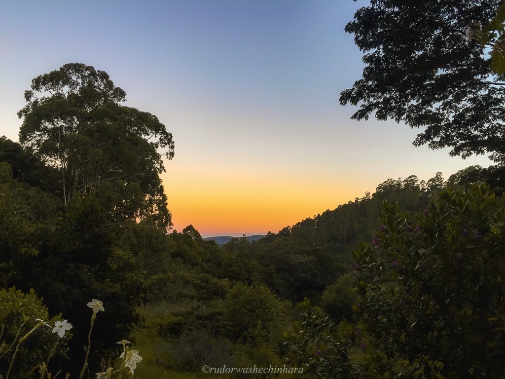 bibi🦄 tweet media