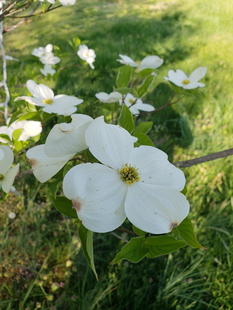 <a href="/WeatherTV1/">Weather TV</a>  A day of beautiful  weather  so nice ! #weather  #outdoor