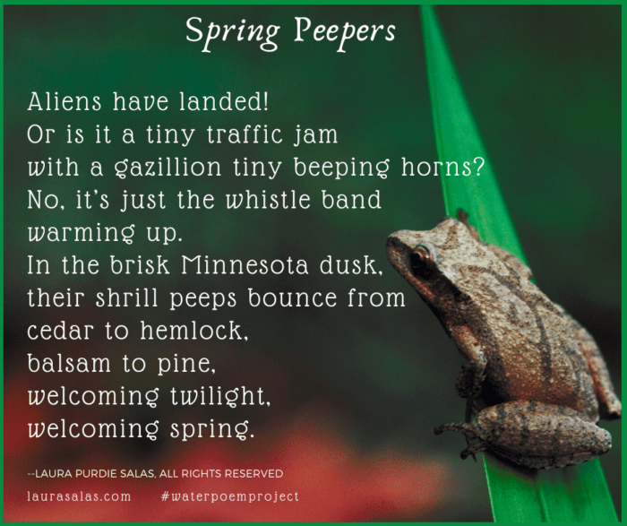 LauraPSalas's tweet photo. Day 15: Spring Peepers is today's #waterpoemproject #poem (#NationalPoetryMonth2020) @laurashovan https://t.co/FgcM7CDmSo https://t.co/mXHTabkI18