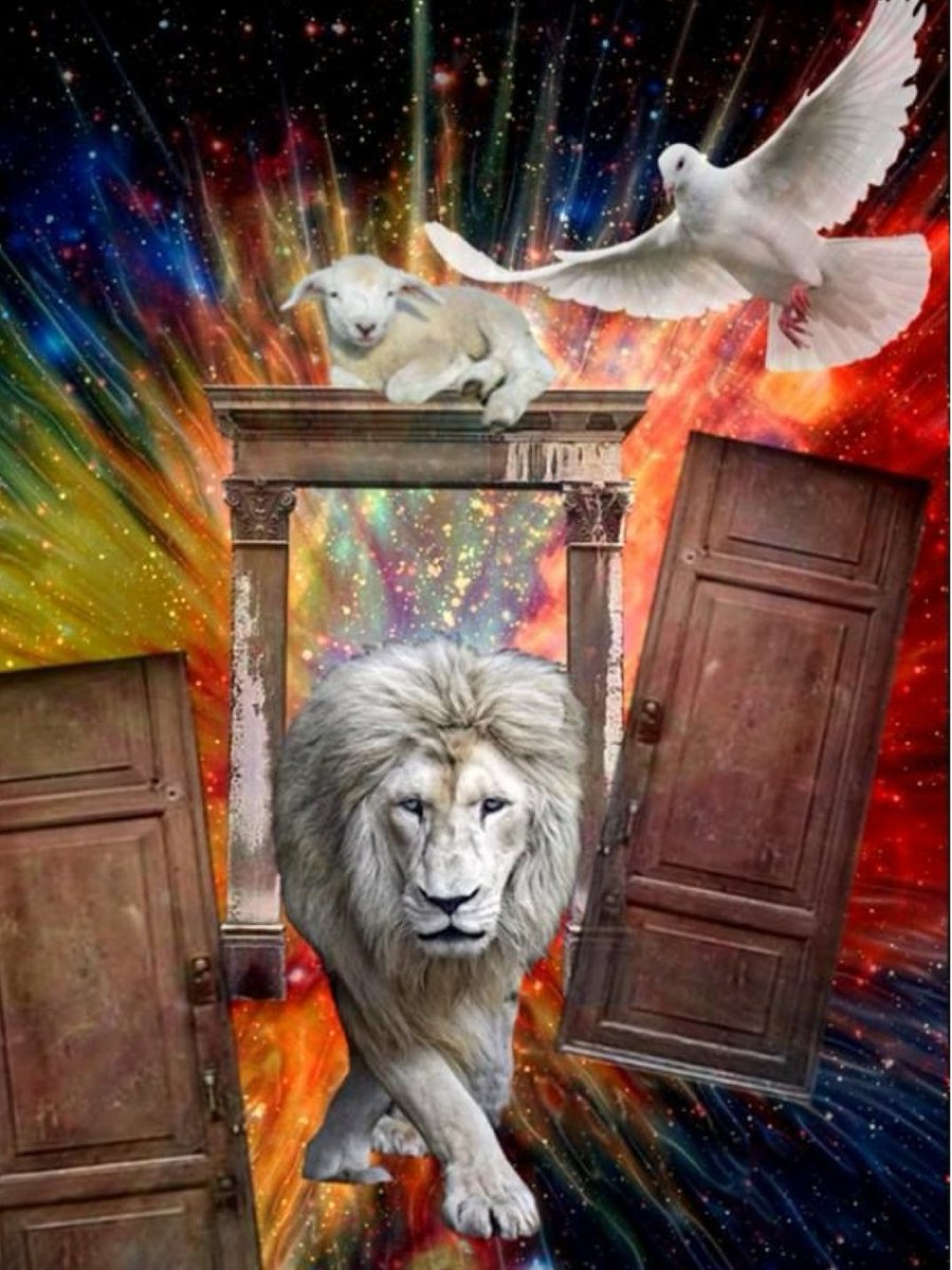 KATY 🕎✡️✝️🙌🔥Royal Guard 👑 tweet media