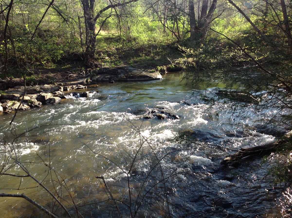 chlorinemom's tweet photo. @ksusportsrec Favorite fishing hole on the Toccoa River. https://t.co/xHaF43qFfS