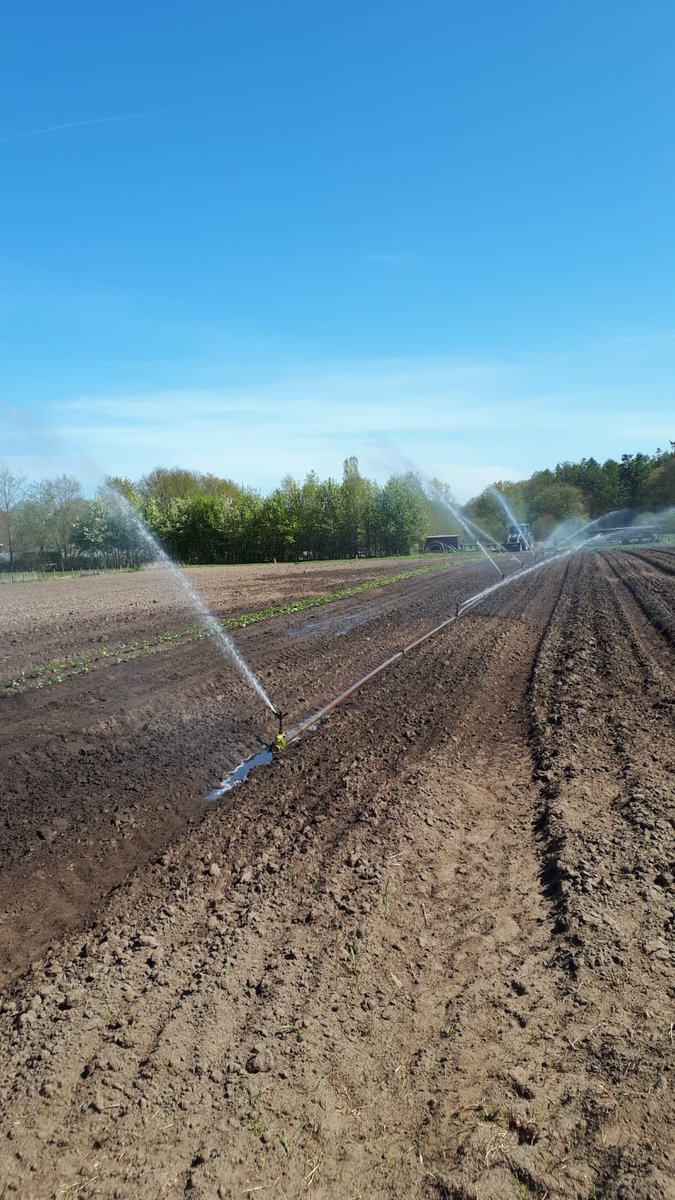 De beregening staat aan. We verwachten komende tijd weinig tot geen regen en de boven laag was al erg droog.  #biologisch #boeren <a href="/Dimence/">Dimence</a> <a href="/DimenceGroep/">DimenceGroep</a>