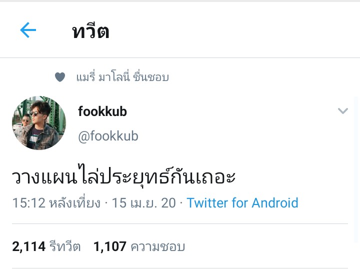 มะเขือพวงสีทอง tweet media