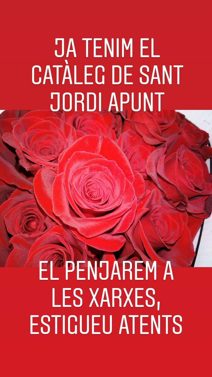 Aquest Sant Jordi queda't a 🏡 Flors El Roser et fem arribar la 🌹 Fes el teu encàrrec ☎️📞 650634703
