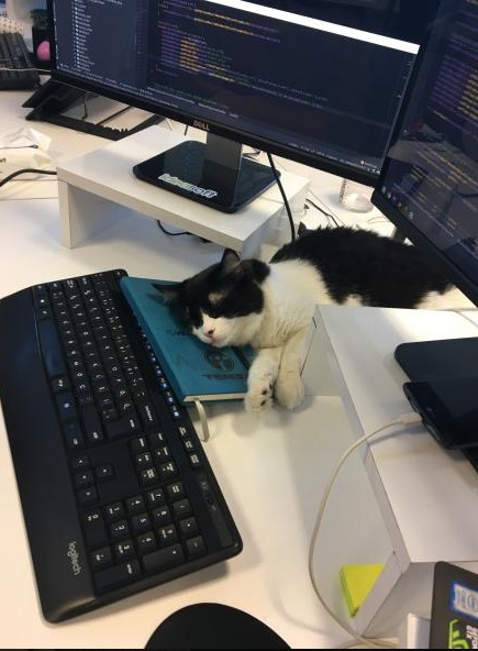 <a href="/BilecikBeledi/">Bilecik Belediyesi</a> Harika olan sizlersiniz 😇 Böyle bir güzelliğe bizi de dahil ettiğiniz için çok teşekkür ederiz 🙏 Bu arada AR-GE ofisimizden Dust ve Mirage'ın selamları var size. Kendileri şu an Home Office çalışıyor 😸