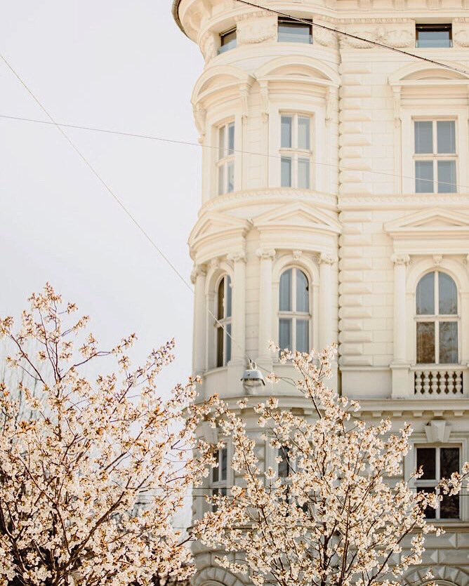 judyalaws's tweet photo. Salzburg, Austria https://t.co/xFoiKhfrvt
#austria #austrianblogger #austrian #austrianarchitecture #spring #austrianspring #austriatoday #travel #travelblog #austrianphotographer #instatravel #austriagram #pink #trees #nature #austriablogger #austriavision #austrianblog https://t.co/SVGVBMTn2c