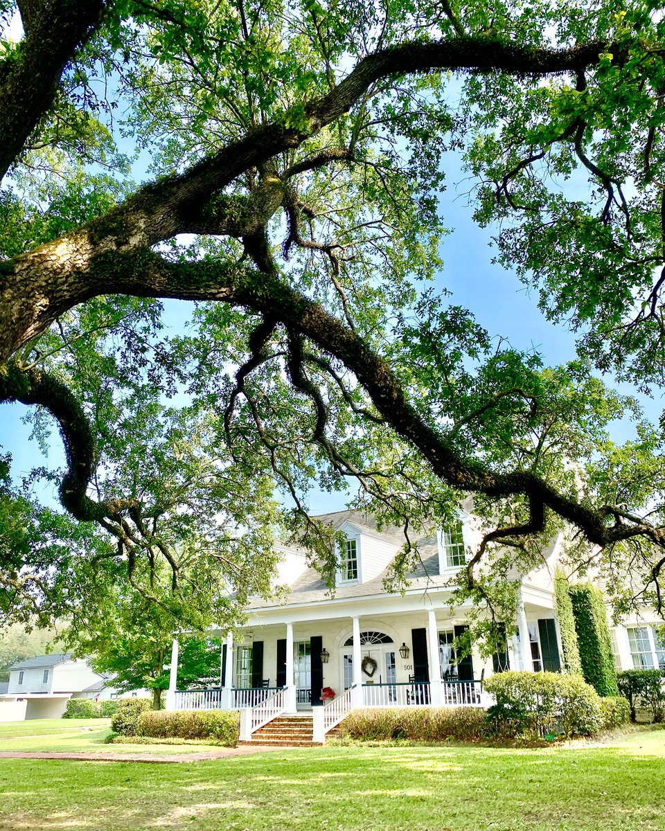 LakeCharlesCVB's tweet photo. We’ve never been so grateful for this beautiful spring weather ☀️ ⠀
⠀
📍Shell Beach Drive⠀
⠀
#VisitLakeCharles #LouisianasPlayground #GetDOWNtownLC #OnlyLouisiana #FeedYourSoul #ShellBeachDrive #HistoricHomes https://t.co/cjZAjUWWwA