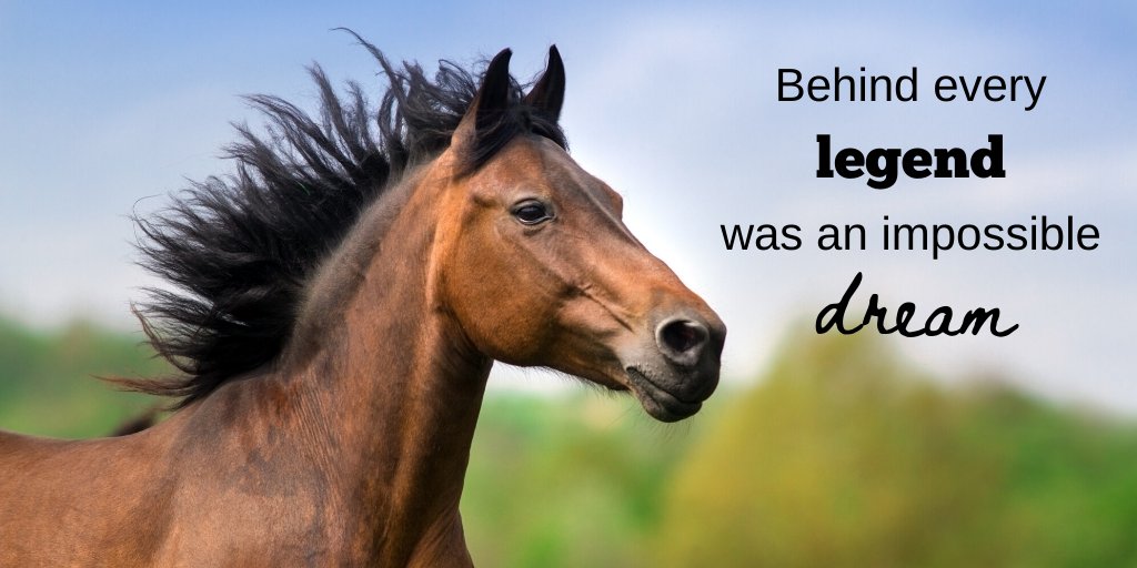 Never give up!

#WednesdsayWisdom #Dream #ArcEquine #SmallWonder