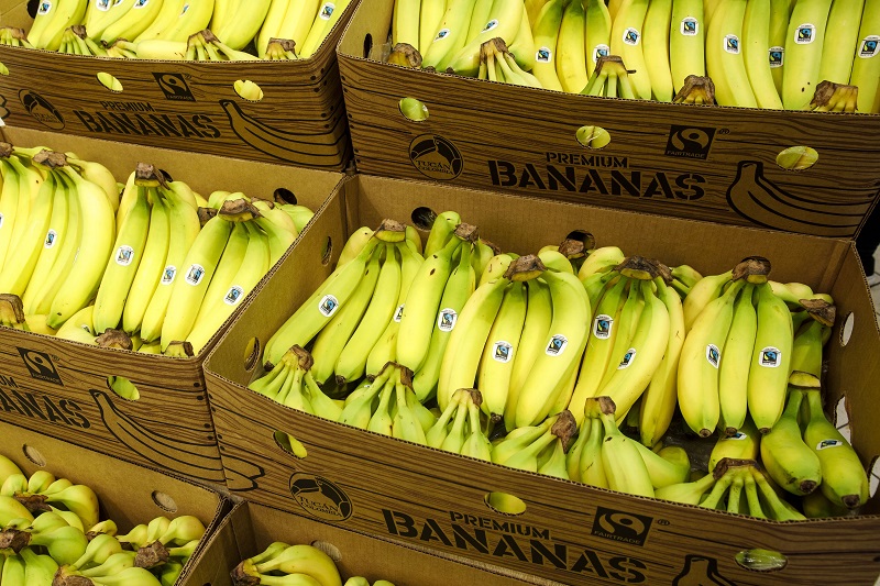 Lidl in Deutschland on nur #Lidl Bananensortiment: X: @Fairtrade_DE dauerhaft #BananaDay sind Fairtrade-Bananen Bio-Bananen Seit in am konventionelle im sondern #Fairtrade-zertifizierte unterstützt und 2019 2006 allen seit #Nachhaltigkeit mit \